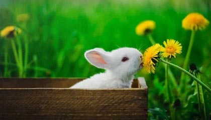 星空体育在线登录-开云下载：让每一次下载都成就高效与安全的云端旅程